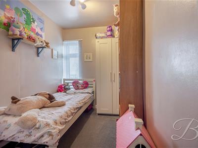 Picture 15